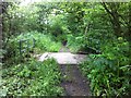 Green lane bridge