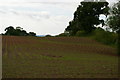 SJ6642 : Newly-sown field off Wood Orchard Lane, Kinsey Heath by Christopher Hilton