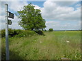 Footpath near Culverthorpe