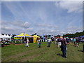 A wonderful day at the Cranleigh Show (10)