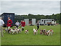 A wonderful day at the Cranleigh Show (13)