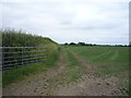 NY2854 : Farm track near Quarry Gill by JThomas
