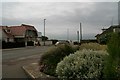 Seaside planting in Hillfield Road, Selsey Bill