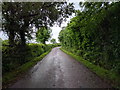 Lane near Rapshayes Farm