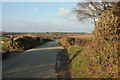 Road, Affaland Moor