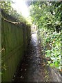 Footpath - Rowley Lane