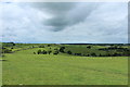 Farmland at Wigtown