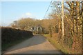 Road approaching Thorndon Cross