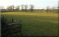 Grass field near Broadshell Cross