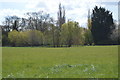 Grassland in the valley of the Great Ouse