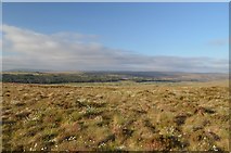 NC7414 : View Northeast from Dailbane Hill, Sutherland by Andrew Tryon
