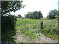 Field entrance, East Causewayhead