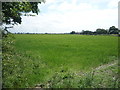 Farmland near Cowlane