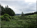 R1608 : View near Glentanefinnan by Jonathan Thacker