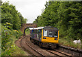 142094 approaching Wetheral (Cumbria) - June 2016