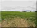 NY1234 : Arable field north east of Bridekirk by Graham Robson