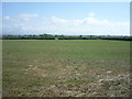 Farmland west of Abbeytown