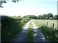 Track to West House Farm