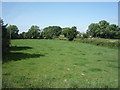 Grazing near the River Waver, Waverbridge