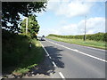 NY2950 : A596 towards Carlisle by JThomas