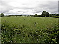 Tireenan Townland