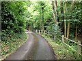 Short Lane, Brenchley