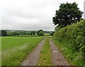 ST0313 : Track to sewage works by Roger Cornfoot