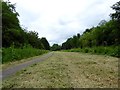 SJ8642 : Hanford: riverside path and cycleway by Jonathan Hutchins