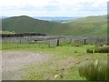NY6929 : Sheep pens beside the Fell Road by Oliver Dixon
