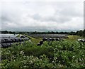 Solar Power Farm, near Brown