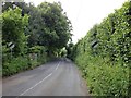 Ballards Hill, near Goudhurst