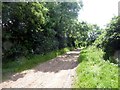 Byway near Cutlersforth Farm