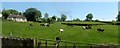 Grazing land on the east side of the B3 (Keady Road)