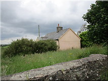 W9181 : Derelict cottage at Rathorgan Cross Roads by Jonathan Thacker