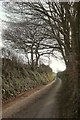 SX1655 : Lane near Boggamill by Derek Harper