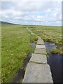 NY7130 : The Pennine Way on Knock Fell by Oliver Dixon