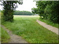 Looking across Nightingale Meadows from public footpath