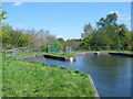 The New River south of Turkey Brook (3)