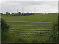 Gateway into a grass field