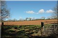 Field near Penadlake Farm