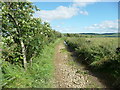 SE0219 : Bridleway from Cote Road to Ripponden Old Lane, Soyland by Humphrey Bolton
