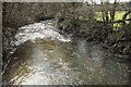 River Fowey at New Bridge