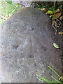 Rivet bench mark on a milestone on Old Aston Hill