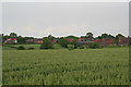 Laxton from Eel Lane