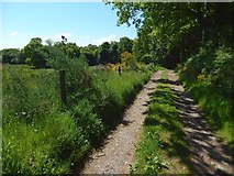 NS3578 : Path to Kilmahew by Lairich Rig
