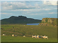 NY7567 : Sheep on Steel Rigg by Karl and Ali