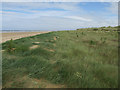 TF7445 : Dunes near Thornham Point by Hugh Venables
