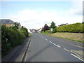 National Cycle Route 1, Norham