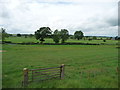 Farmland alongside the B6295, north-east of Sandford