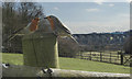 Robins at Ty Mawr